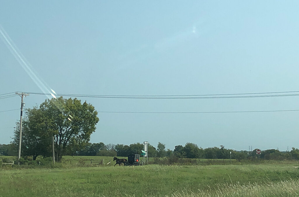 New York Business Law Attorney Gallery UploadsIMG 6700