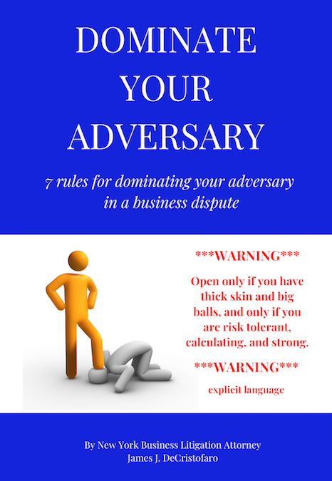 New York Business Attorney Business DOMINATE YOUR ADVERSARY Flat